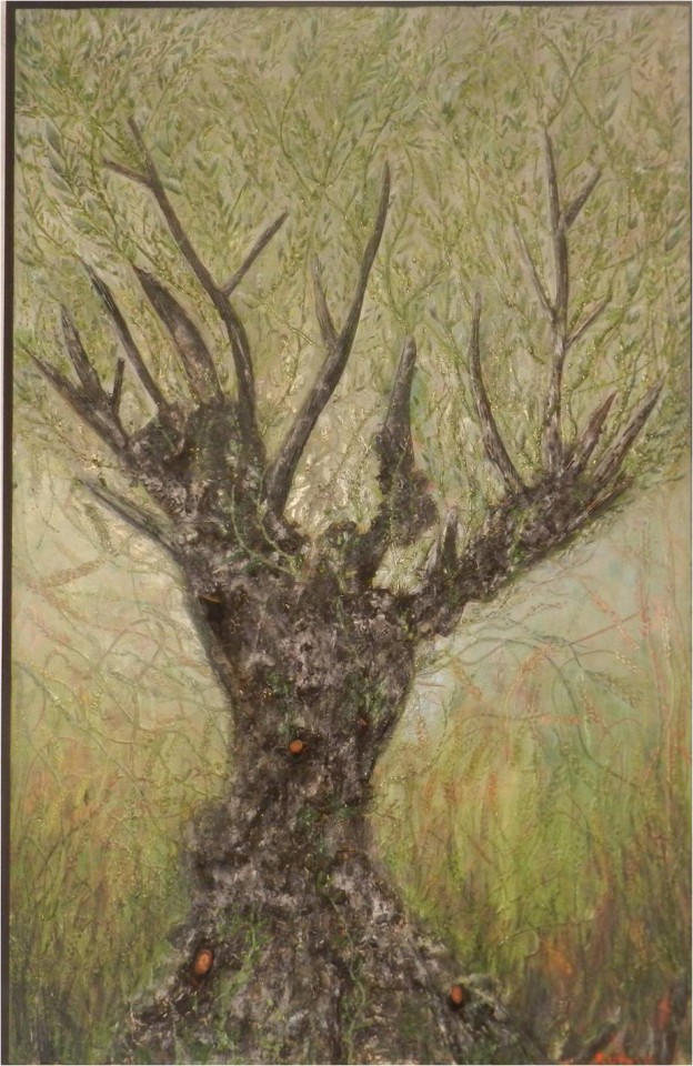 olivera bosque invierno