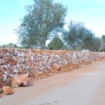 Wiederaufbau Natursteinmauer