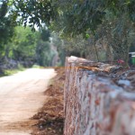 Wiederaufbau nach moderner Art